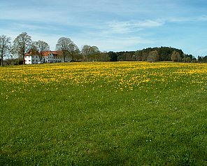 landschaft-004