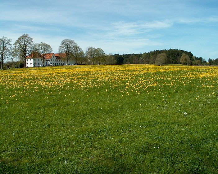 landschaft-004