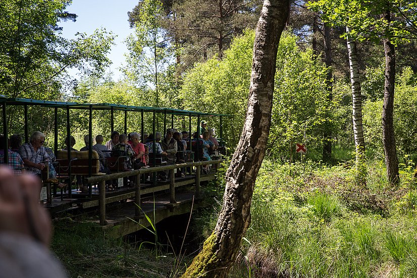 Unterwegs im Wurzacher Ried, mit der historischen Torfbähnle