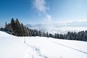 Winterliches Panorama am Ofterschwanger Horn