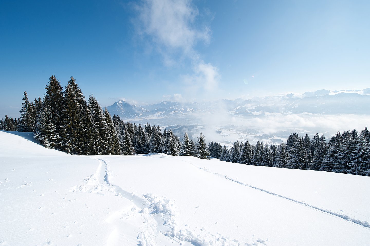 Winterliches Panorama am Ofterschwanger Horn