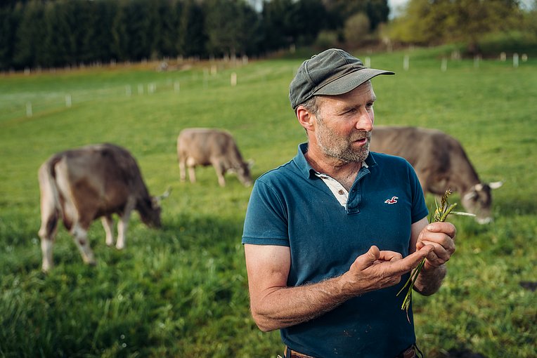 Landwirt Walter Schwärzler erklärt Grünlandwirtschaft