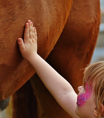Ein Kind streichelt den Bauch eines Esels