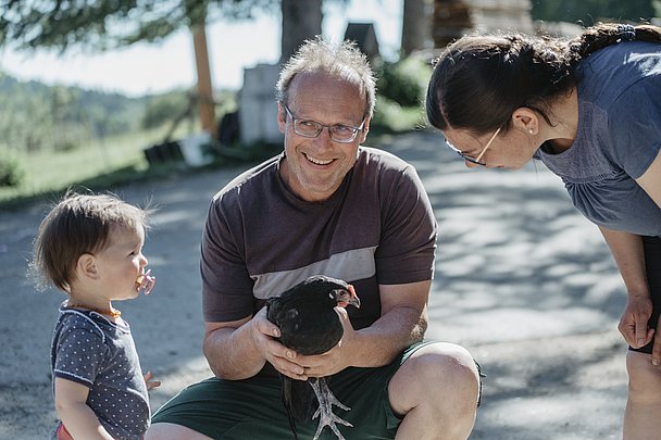 Ein Augsburger Huhn der Familie Birk - die Rasse ist extrem gefährdet