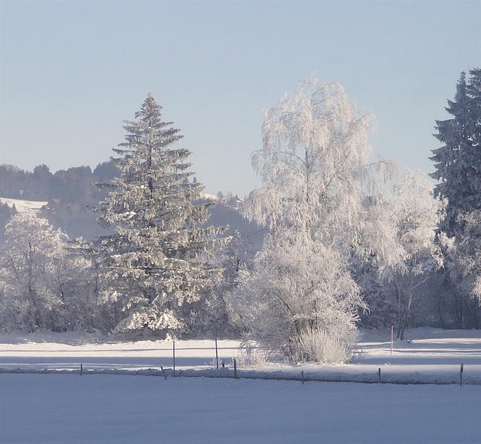 Winter in Ratholz