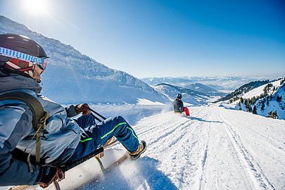 Zwei Rodler auf der Rodelstrecke am Hochgrat mit tollem Ausblick über die Berge