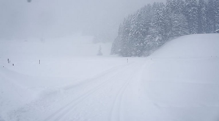 Horizont im Schnee