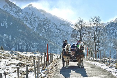 Kutsche von zwei Pferden gezogen im winterlichen Hintersteiner Tal