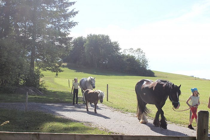 Bounty, Bella, Bolero im Himmel