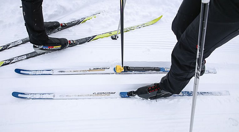 Langlaufski im Schnee