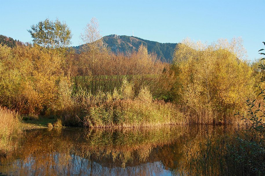 Umgebung