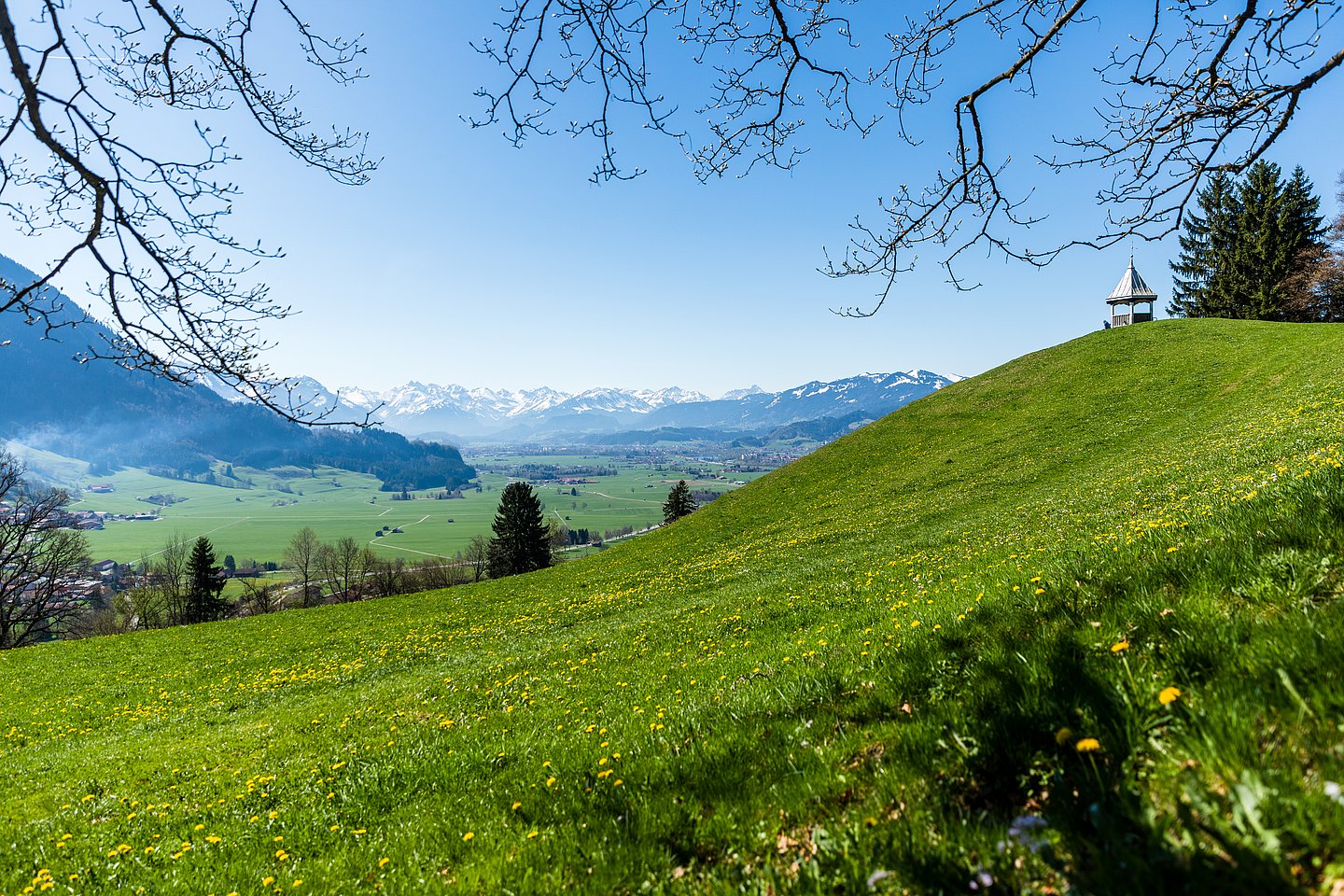 Aussichtspavillon in Rettenberg oberhalb einer Frühlingswiese mit Alpen im Hintergrund