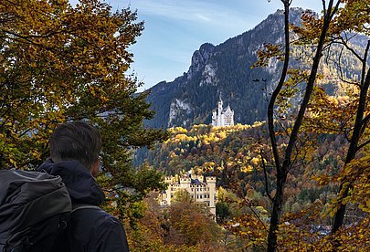 Mann mit Rucksack von hinten zwischen herbstlichem Wald, im Hintergrund die Königsschlösser