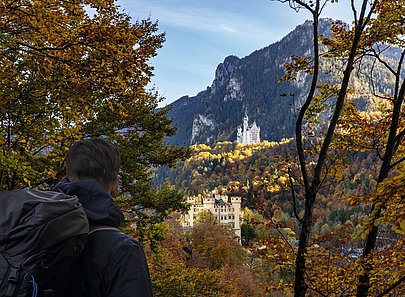 Mann mit Rucksack von hinten zwischen herbstlichem Wald, im Hintergrund die Königsschlösser