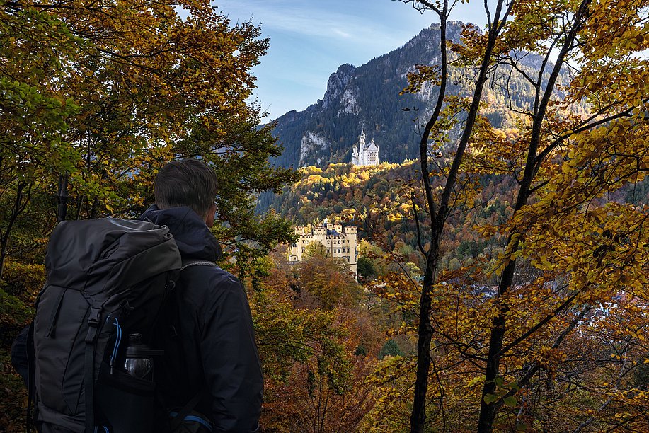 Mann mit Rucksack von hinten zwischen herbstlichem Wald, im Hintergrund die Königsschlösser