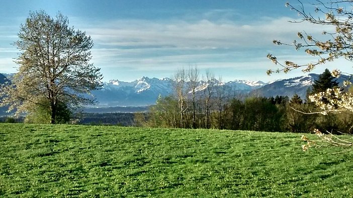 img_20190425_071143972_hdr