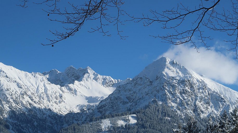 Ausblick zum Nebelhorn