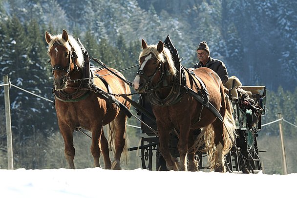 Kutsche von zwei Pferden gezogen im winterlichen Hintersteiner Tal