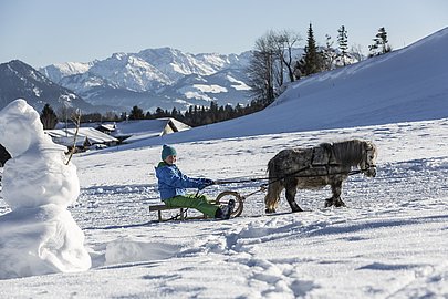 Mit dem Ponyschlitten im Allgäu Mit dem Ponyschlitten im Allgäu