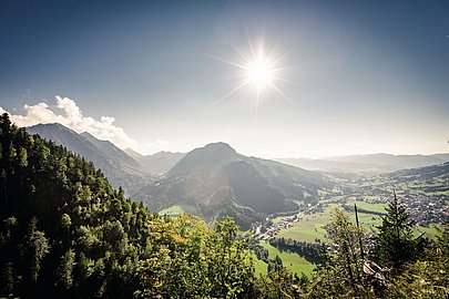 Blick Imberger Horn