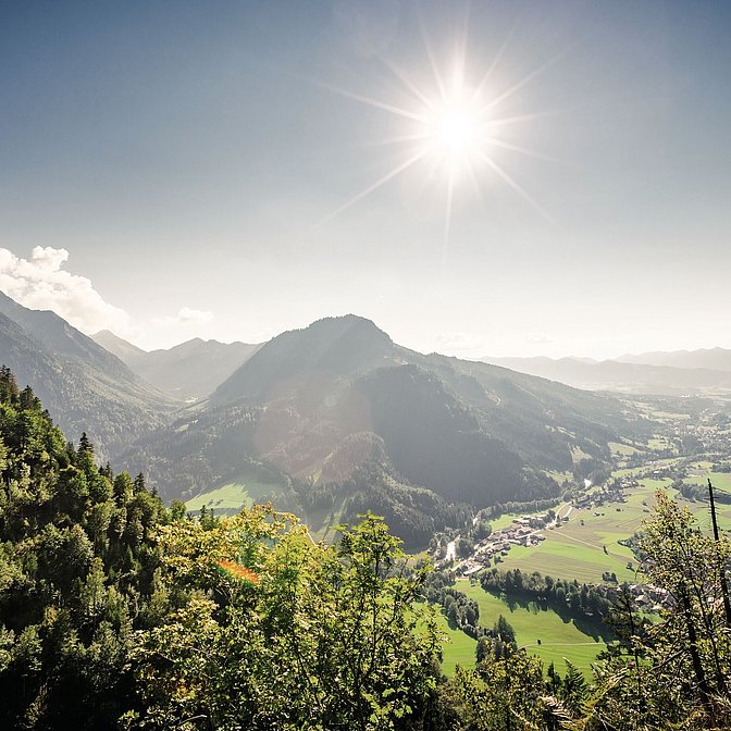 Blick Imberger Horn