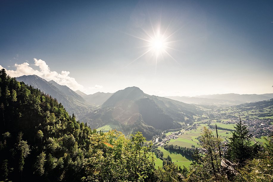 Blick Imberger Horn