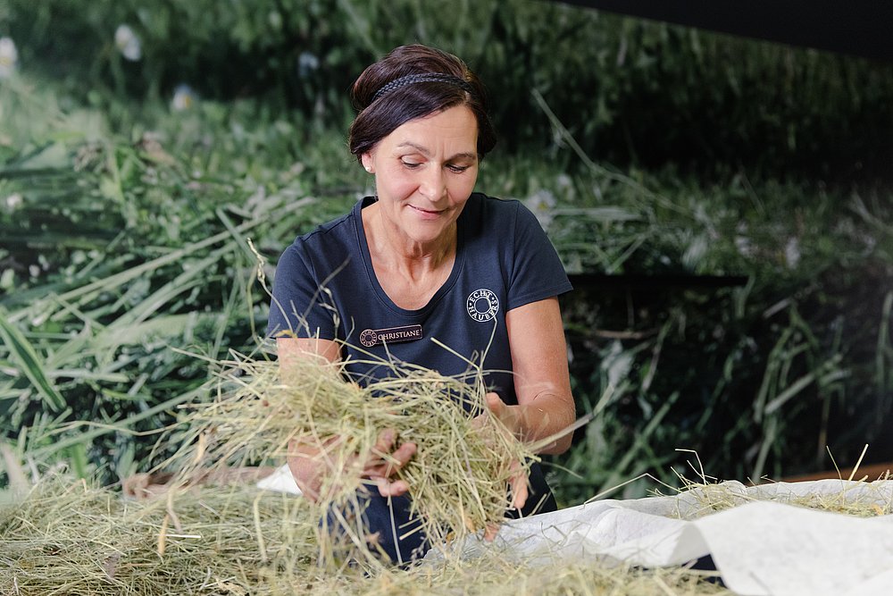 Christiane Haibel beim Heubad richten im Haubers Naturresort