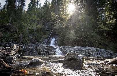 Wasserfall mit Wald, die Sonne strahlt durch die Bäume