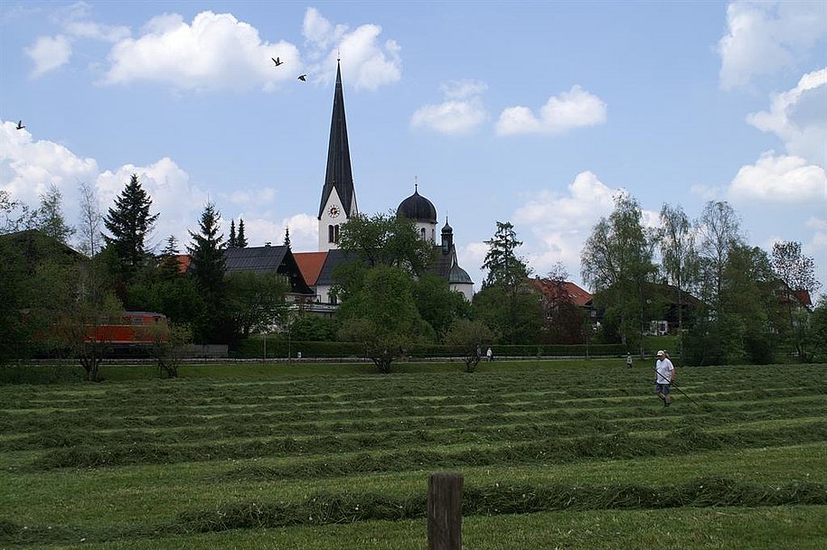 Fischen im Allgäu