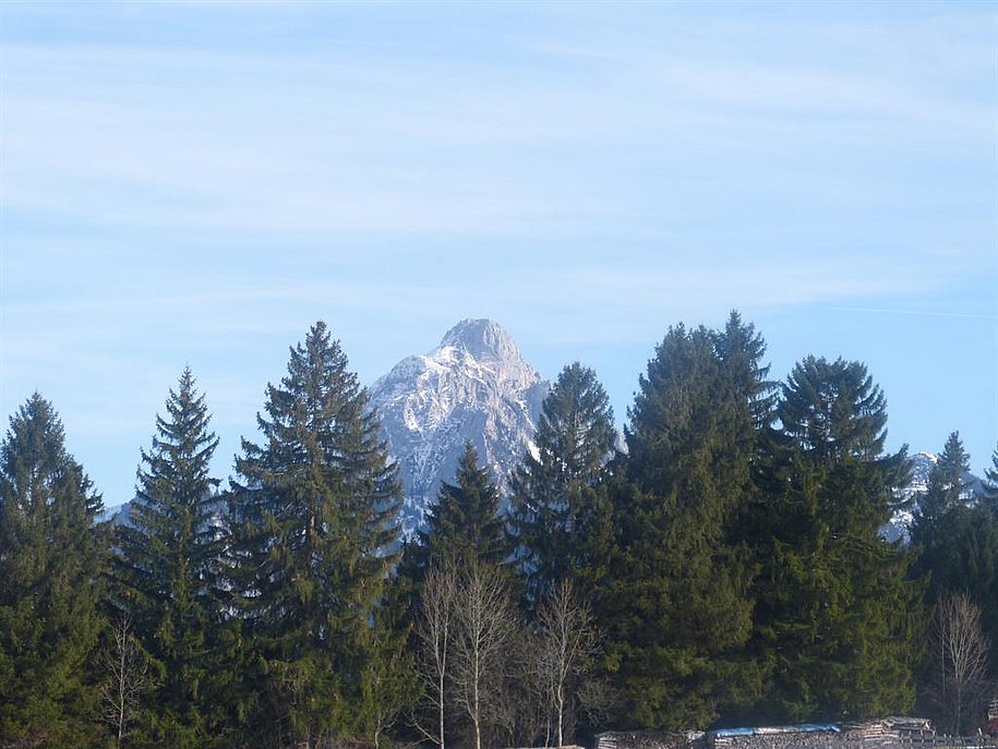 Säulingblick