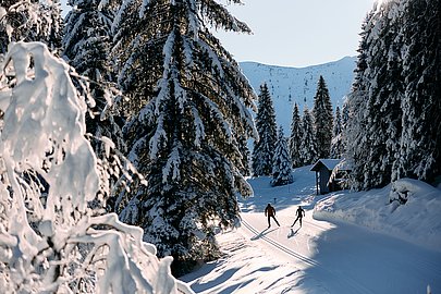 Zwei Langläufer auf einer Loipe bei Sonnenschein