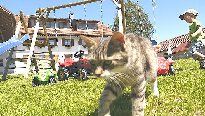 Unser Garten, Spielplatz...