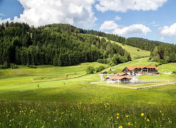 6981-06_06_2016-1_hoch_ret-komprimiert_1