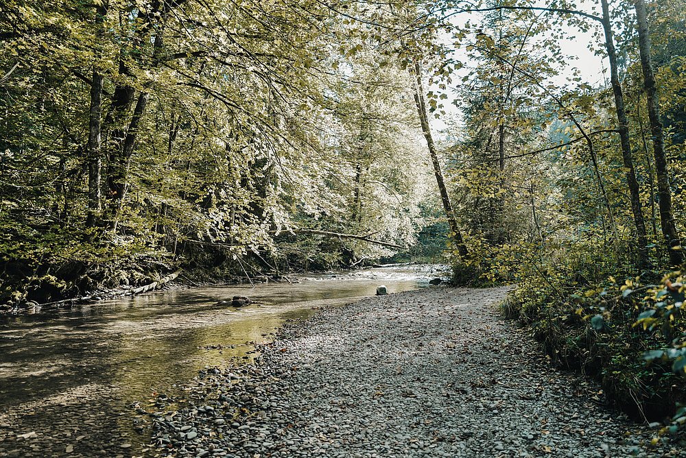 Fluss im Eistobel