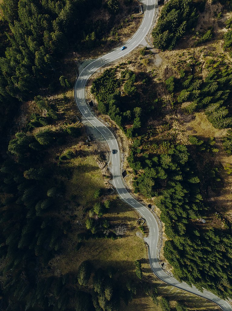 Auf dem richtigen Weg