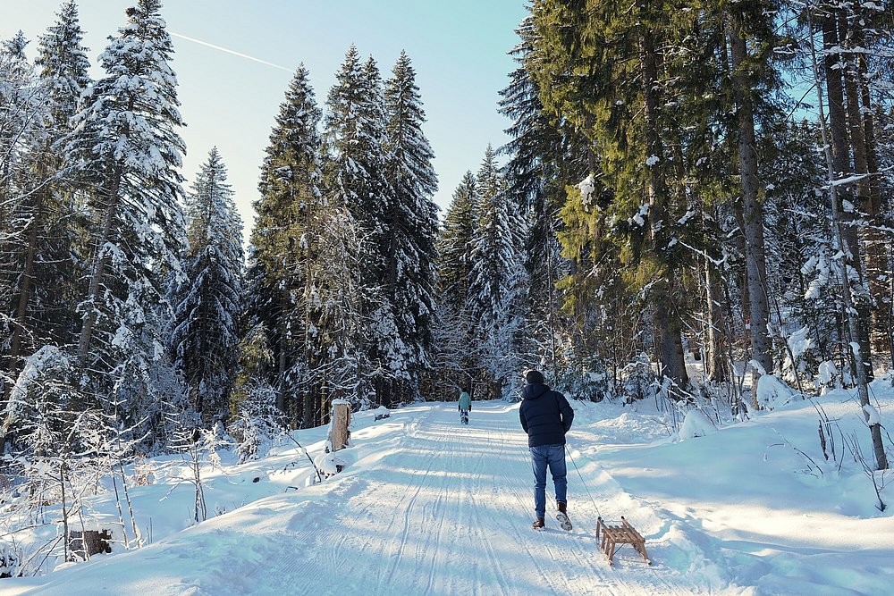 Ein Mann zieht den Schlitten durch die verschneite Winterlandschaft den Berg zur Buchelalpe hinauf. 