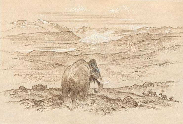 Mammut am Mariaberg