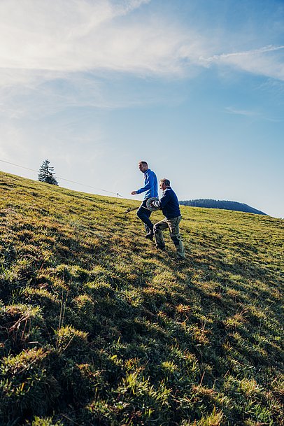 Zwei Männer bauen einen Weidezaun ab