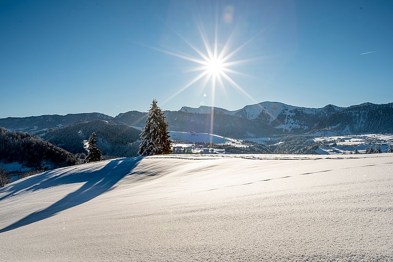 Verschneites Bergpanorama bei Oberstaufen