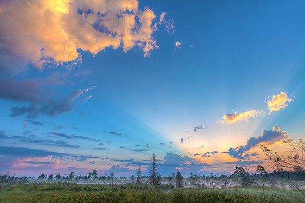 Leuchtend blauer Himmel über dem Wurzacher Ried