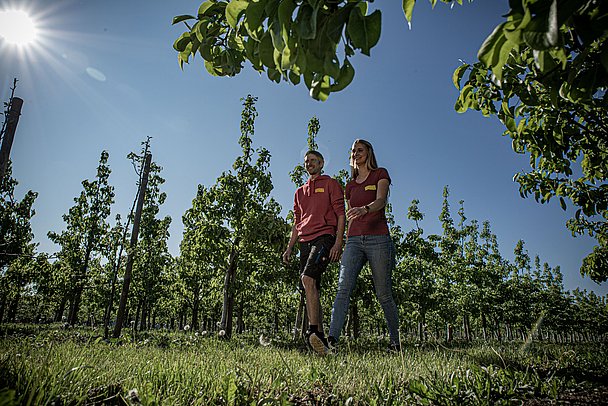 Spaziergang und Einkaufserlebnis zwischen den Obstbäumen des Früchtegartens Reisach