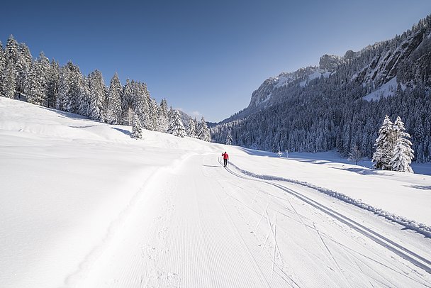 Langläufer auf der Loipe im Rohrmoostal unterhalb der Gottesackerwände
