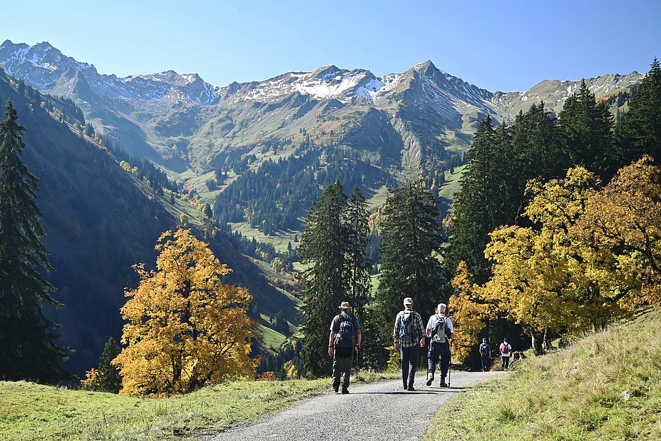 Wanderer auf einem Wanderweg umgeben von herbstlichen Baumen, auf dem Bergen liegt erster Schnee