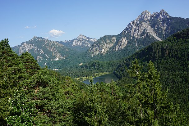 Blick über Wald zu See und Berg