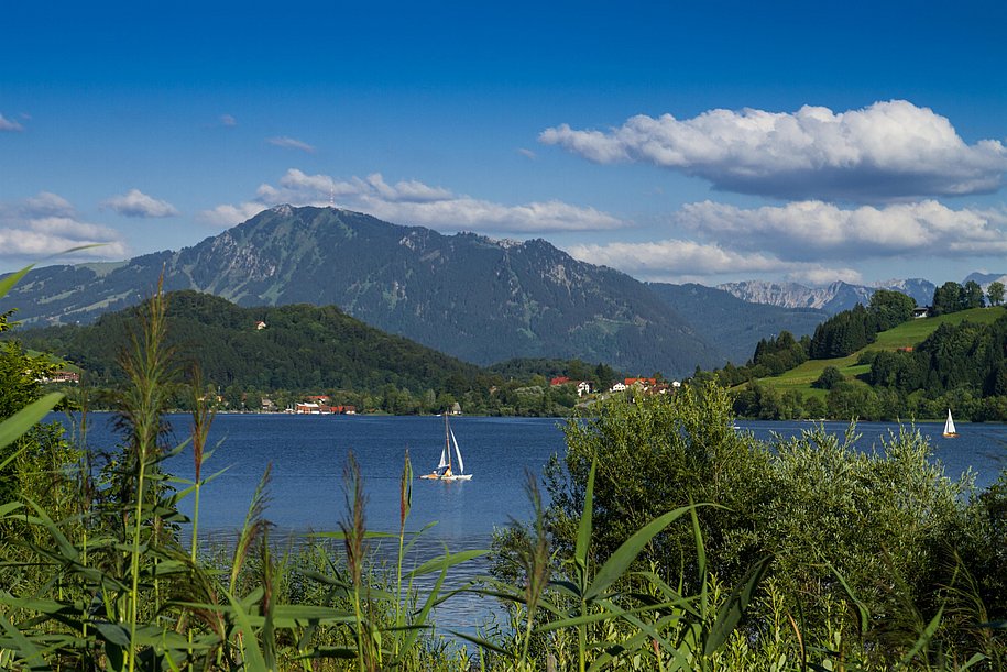 Großer Alpsee