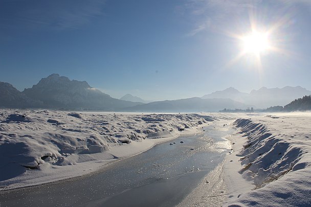 Verschneiter Forggensee