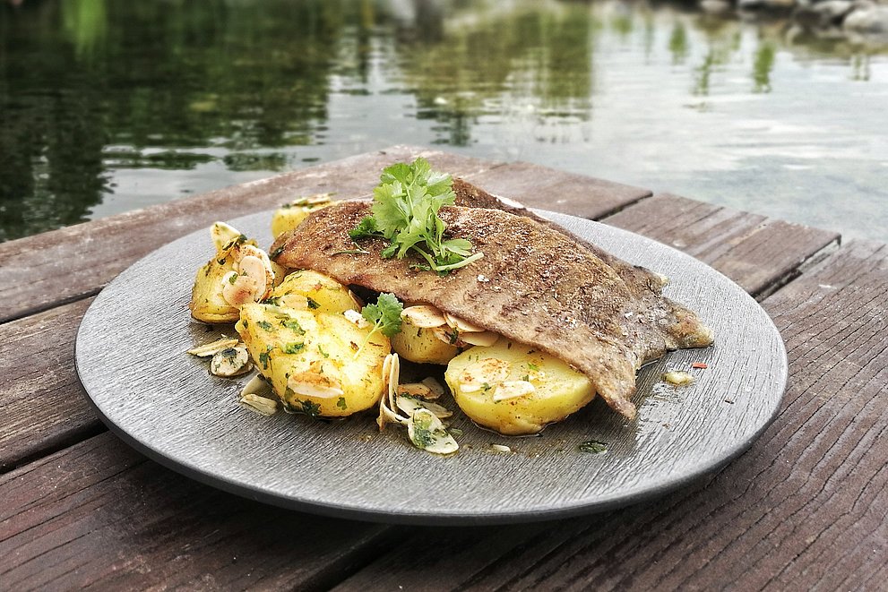 Gegrillte Forellenfilets Allgäuer Art nach einem Rezept von Christian Henze 
