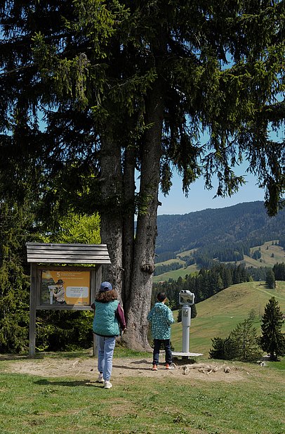 Junge und Mädchen an einer Erlebnisstation am MounTeens Detektivweg