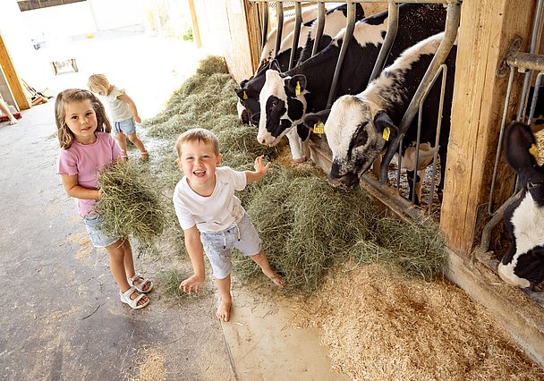 Mitarbeit im Stall