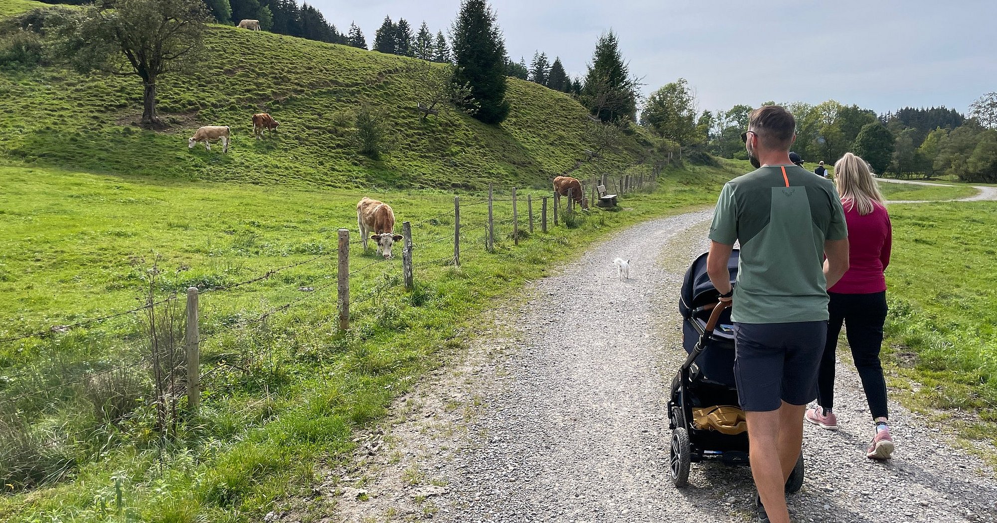 Wanderungen mit Kinderwagen im Allgu - Allgu